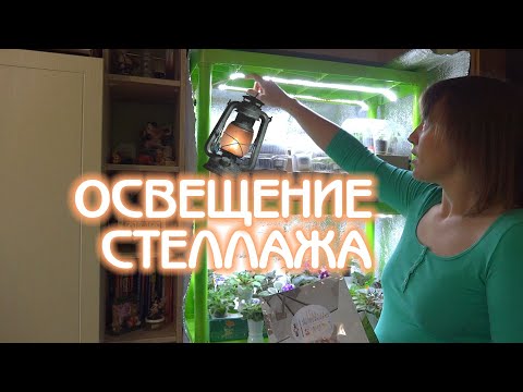 Видео: Освещение фиалок дома | Стеллаж | Советы по уходу за фиалками #04 | Мои фиалки