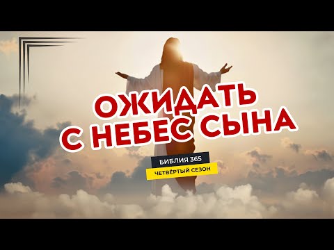 Видео: #194 Ожидать с небес Сына - Алексей Осокин - Библия 365 (4 сезон)