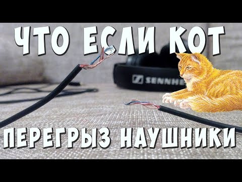 Видео: ✅👍 Что делать если кот перегрыз провод? Как спаять провод наушников? ✅