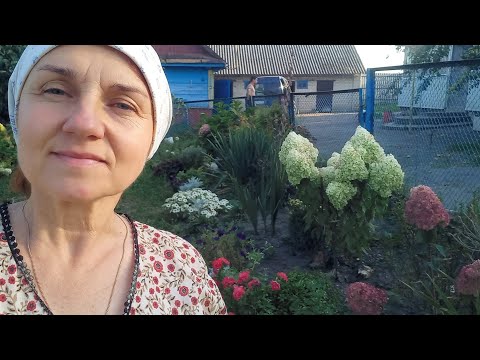 Видео: ВИКОПАЛИ КАРТОПОЮ У МАМИ. 🥔ЗАВАЛИЛО ВРОЖАЄМ. 🍅 ЯКА ВИРОСЛА ЕКСІБІШН. 🧅