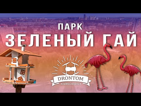 Видео: Парк Зеленый Гай Днепр | Районы и парки Днепра Красивый