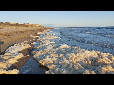 Видео: Второй день прошёл в работах по вытаскиванию машины из песка и обследованию берега.