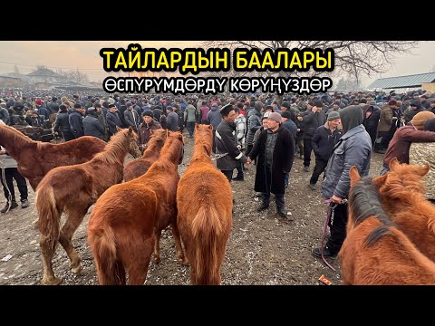 Видео: НООКАТ ТАЙ БАЗАРЫ / 9-ФЕВРАЛЬ 2025 ЖЫЛ / @Aalamkabar97