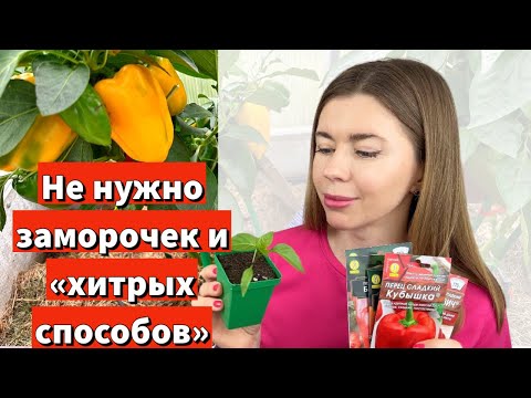Видео: ПОСЕЯЛА ЛЮБИМЫЕ СОРТА ПЕРЦА. Проверенный годами способ посева. Почему так поздно?