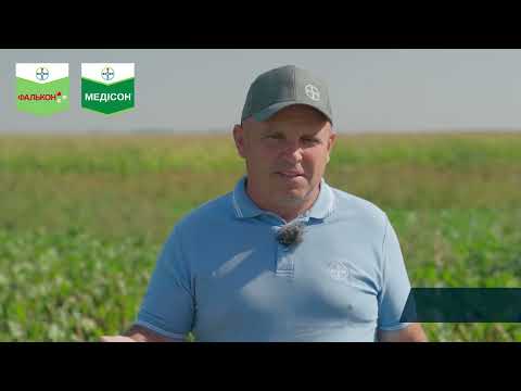 Видео: Система захисту цукрового буряку. Досвід. АгроАрена Захід