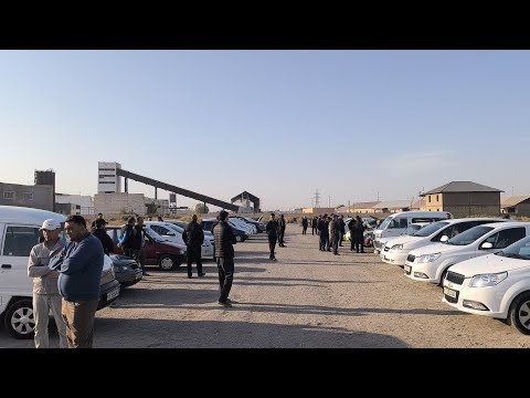 Видео: Беруний мошина бозори 2-қисми 23.10.2025