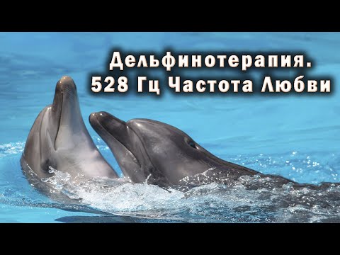 Видео: Лечебные песни дельфинов. Восстановления Энергии, Снятия Стресса и Глубокого Сна