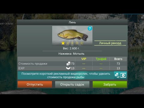 Видео: ЛИНЬ , ЛЕЩ , КРАСНОПЁРКА И ЕЩЁ МНОГО РАЗНОЙ РЫБЫ ! // MY FISHING WORLD №3