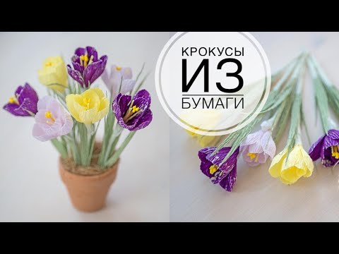 Видео: Corrugated paper crocuses / Крокусы из гофрированной бумаги / DIY Tsvoric