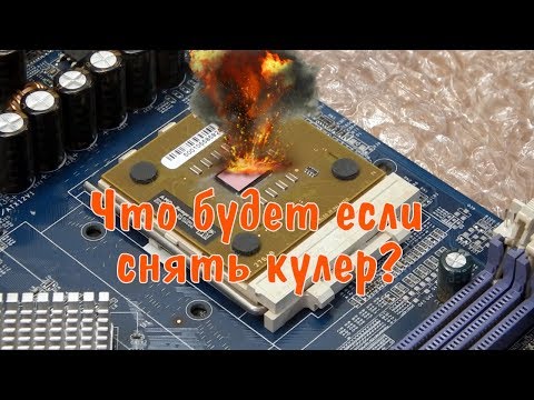 Видео: Что будет если снять кулер с процессора? What happens when a CPU heatsink is removed (remake)