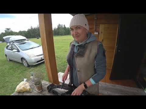 Видео: Хакасия и Ергаки. Часть 1. База Пай-тыт,  пещера Кашкулак  и др.