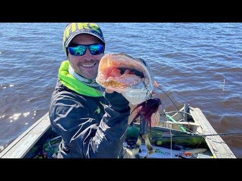 Видео: Мышки на Севере! Щучьи танцы с Big Miuras Mouse!