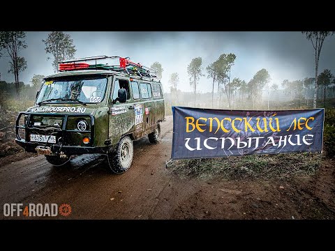 Видео: Уаз буханка побывала в Аду. Загадочный Вепсский Лес. Отпустит ли он нас? Сломались в дикой Тайге.
