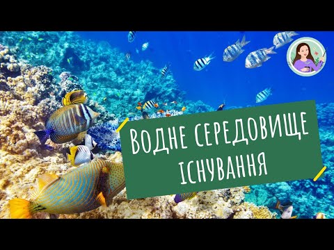 Видео: Водне середовище існування