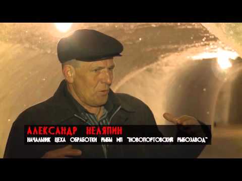 Видео: Старые раны Нового Порта