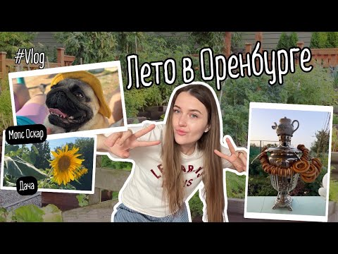 Видео: Дачный день с родными. Приехала домой в гости | VLOG