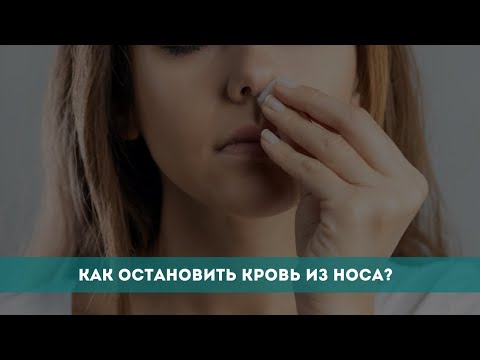 Видео: Как остановить кровь из носа?