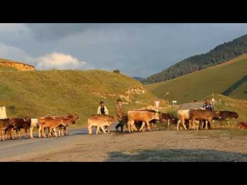 Видео: Գյուղ Թթուջուր Ttujur Ттуджур HD 1080