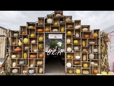 Видео: #14 Необыкновенное рядом с тобой | Тыквенный участок осенью | Готовим в октябре