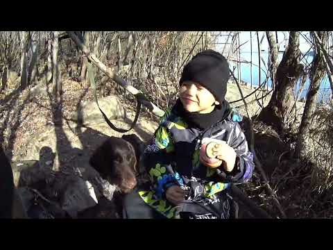 Видео: #охота