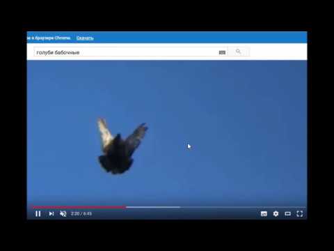 Видео: Классификация стелей полёта НГ.