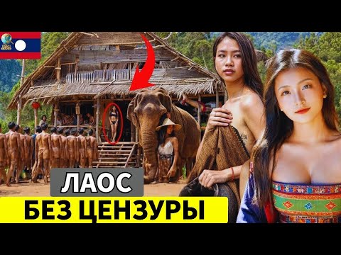 Видео: Жизнь в Лаосе: Дешевая страна для жизни с красивыми женщинами и странными вещами