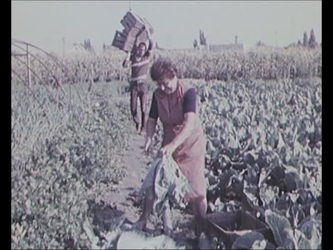 Видео: БЪЛГАРСКИ ГРАДИНАРИ В УНГАРИЯ - ПРЕСЕЛНИЦИ ОТ ПОЛИКРАИЩЕ (1985)