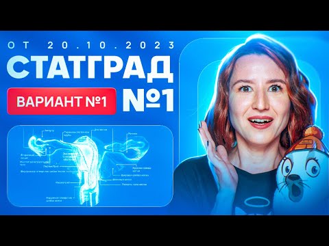 Видео: Разбор нового варианта СТАТГРАД от 20.10.2023 | Вариант 1 | ЕГЭ-2025 по биологии