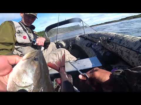 Видео: РЫБАЛКА ОТ КОТОРОЙ ВОЛОСЫ ДЫБОМ!!!