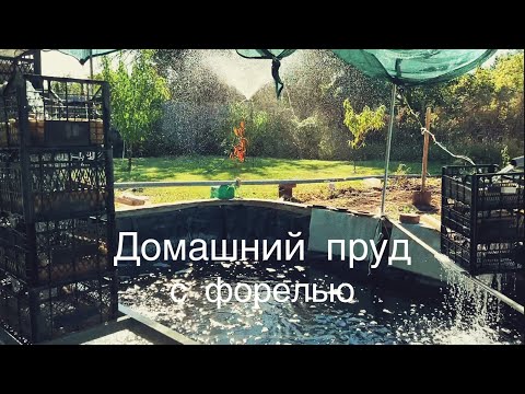 Видео: Улучшили фильтрацию воды в домашнем пруду.