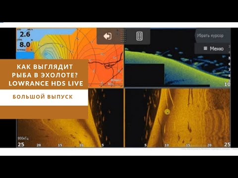 Видео: Как выглядит рыба в эхолоте? Lowrance HDS Live. Большой выпуск.