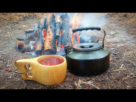 Видео: Одиночный поход в лес. Однодневка. Полевая кухня. Готовка на углях.