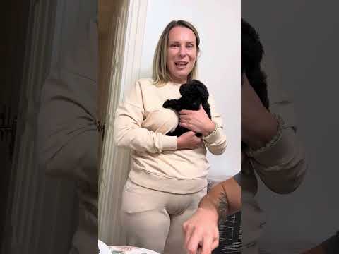 Видео: Сергій супер кухар 