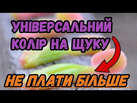 Видео: Кращій колір силікону щуку. Який колір на щуку обрати? Після відео світогляд зміниться.