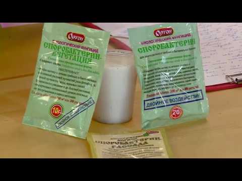 Видео: 20200217 КОНСУЛЬТАНТ САДОВОДА