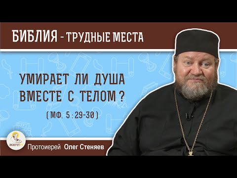 Видео: Умирает ли душа вместе с телом (Мф. 5:29-30)?  Протоиерей Олег Стеняев