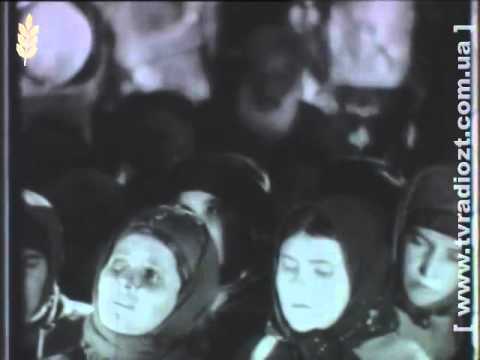Видео: Любар 0440