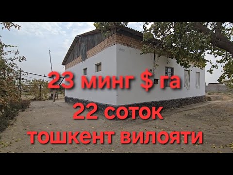 Видео: Уй АРЗОН нархда сотилади Ташкент вилояти Бука тумани 