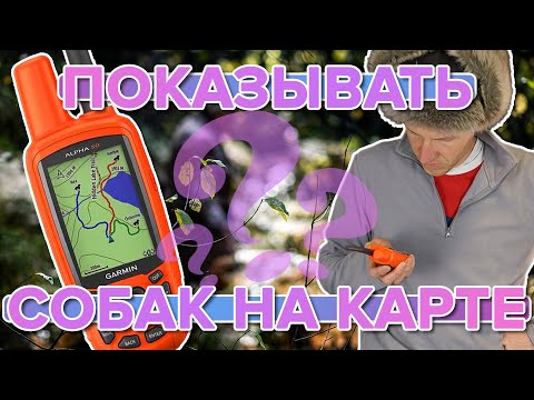 Видео: Функция Показывать собак на карте - которая облегчит жизнь любому охотнику