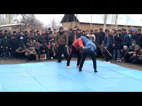 Видео: гуштин чергатол том палвон