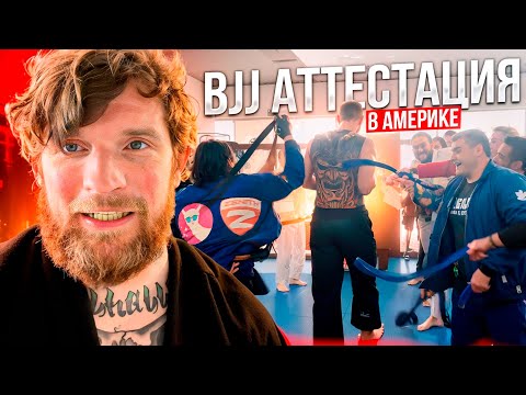 Видео: Александру Волкову выдали черный пояс?