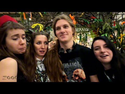 Видео: ФлораФест - лимоны на севере, хищные твари на подоконнике и древние папоротники - все в одном зале!