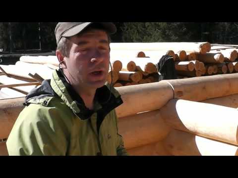 Видео: Подкуем канадскую блоху!