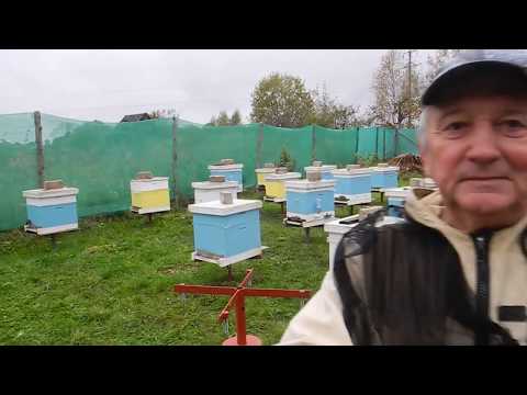Видео: Моя подставка под улей