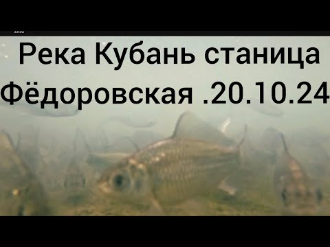 Видео: Рыбалка на Кубани станица Фёдоровская. Осторожно работает рыбоохрана. 20.10.24.