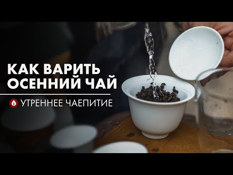 Видео: Варка: Габа улун и Шу пуэр | Стрим Art of Tea