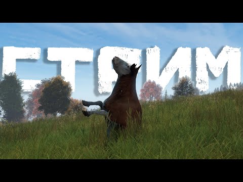 Видео: Стрим в DAYZ