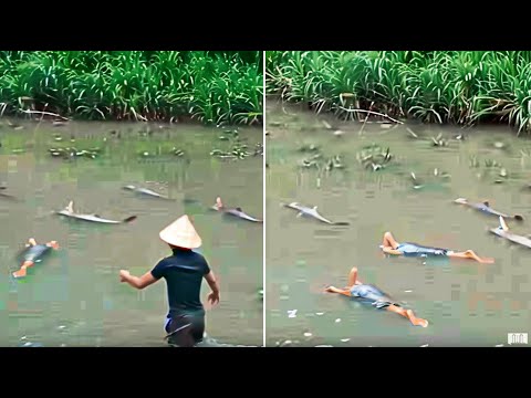 Видео: То, Что Они Сняли в Джунглях Амазонки, Потрясло Весь Мир