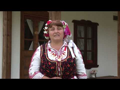 Видео: Димитричка Неделчева- Кольо Марийке думаше