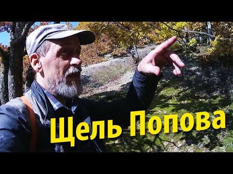 Видео: Поход по грибы | Скала Кумпанова - щель Попова